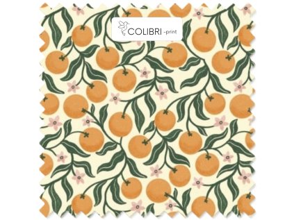 Návrh bez názvu (25)