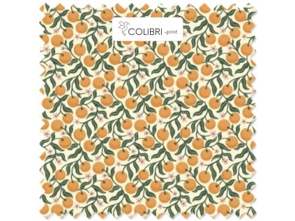 Návrh bez názvu (27)