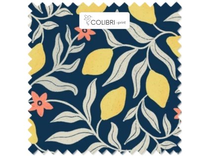 Návrh bez názvu (29)