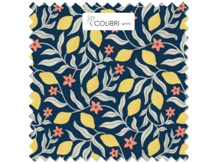 Návrh bez názvu (31)