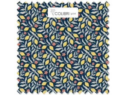 Návrh bez názvu (33)