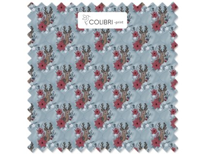 Návrh bez názvu (1)