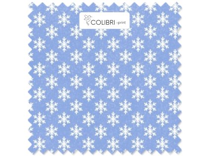 Návrh bez názvu (51)