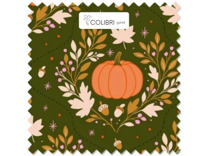 Návrh bez názvu (53)