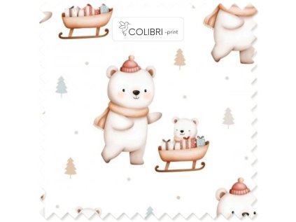 Návrh bez názvu (5)