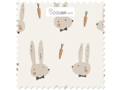 Návrh bez názvu 2026 01 07T122340.633