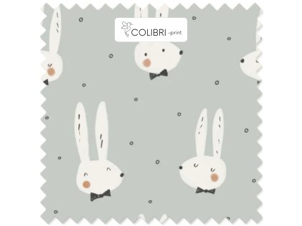 Návrh bez názvu 2026 01 07T122657.854