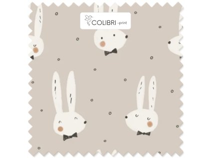 Návrh bez názvu 2026 01 07T123006.950