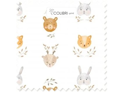 Návrh bez názvu 2026 01 07T123749.033