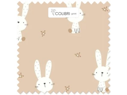 Návrh bez názvu 2026 01 07T125750.471