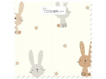 Návrh bez názvu 2026 01 07T130039.653