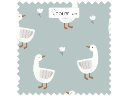 AP649171326047126 (1)