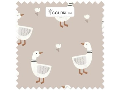 AP649171326047126 (3)