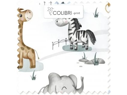 AP649171326047126 (46)