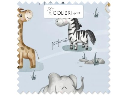 AP649171326047126 (41)