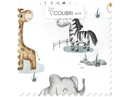 AP649171326047126 (43)