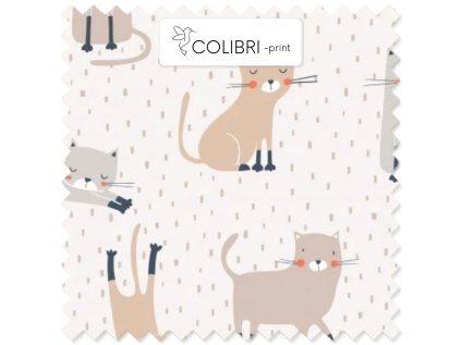 AP649171326047126 2026 01 15T135543.910