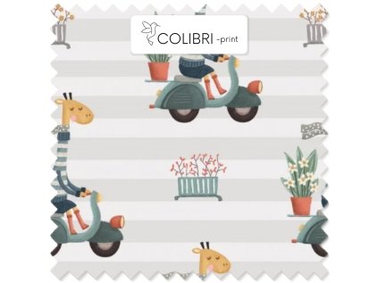 AP649171326047126 2026 01 15T135817.570