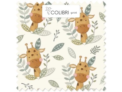 AP649171326047126 2026 01 15T140425.070