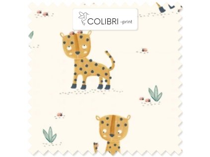 AP649171326047126 2026 01 15T141350.686