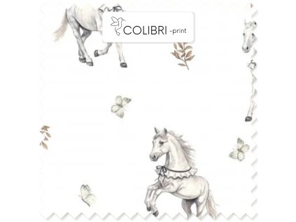 AP649171326047126 2026 01 17T123439.781