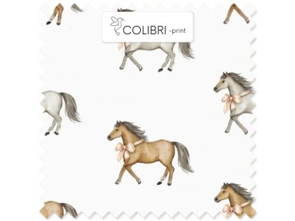 AP649171326047126 2026 01 17T124357.129