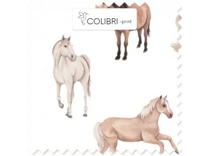 AP649171326047126 2026 01 17T124624.419