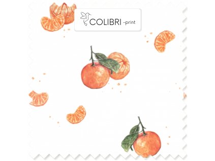 AP649171326047126 2026 01 17T125931.173