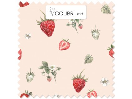 AP649171326047126 2026 01 17T130602.613