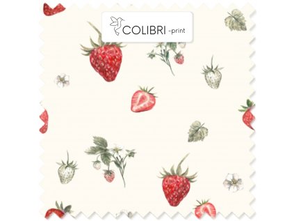 AP649171326047126 2026 01 17T130823.267