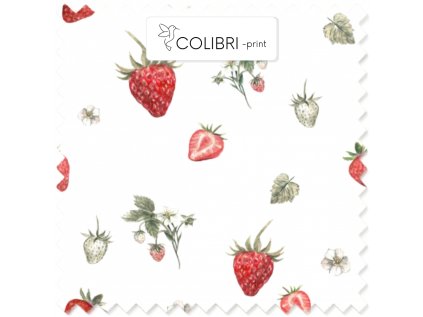 AP649171326047126 2026 01 17T131016.966