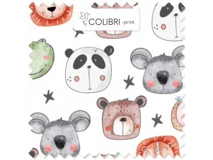 AP649171326047126 2026 01 17T133826.395