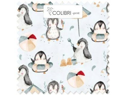 AP649171326047126 2026 01 17T134126.874