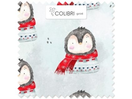 AP649171326047126 2026 01 17T134653.814