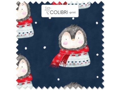 AP649171326047126 2026 01 17T134905.150