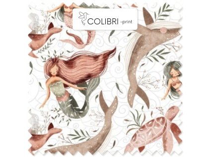 AP649171326047126 2026 01 17T140243.730