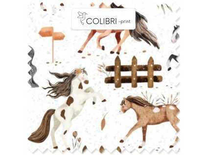 AP649171326047126 2026 01 17T140901.627