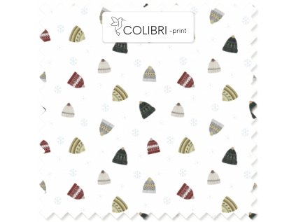 AP649171326047126 2026 01 17T141428.896