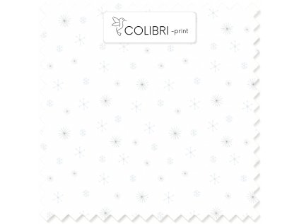 AP649171326047126 2026 01 17T141638.400