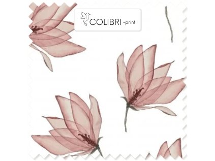 AP649171326047126 2026 01 17T151444.860