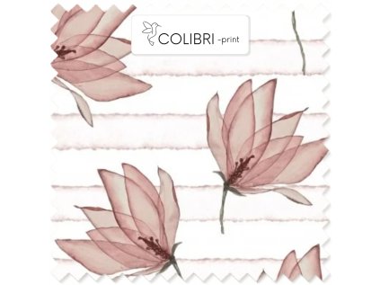 AP649171326047126 2026 01 17T151645.644