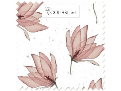 AP649171326047126 2026 01 17T152344.898