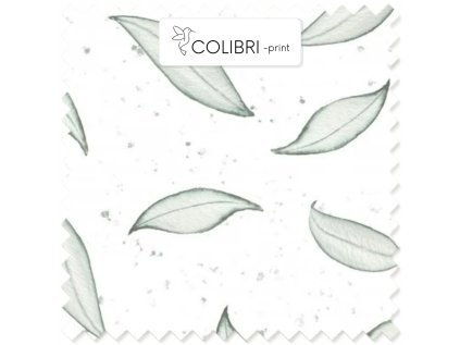 AP649171326047126 2026 01 17T152811.185