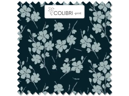 AP649171326047126 2026 01 19T080504.306