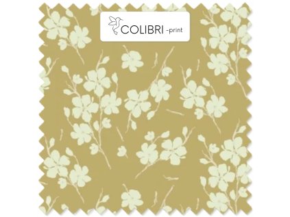 AP649171326047126 2026 01 19T080733.311