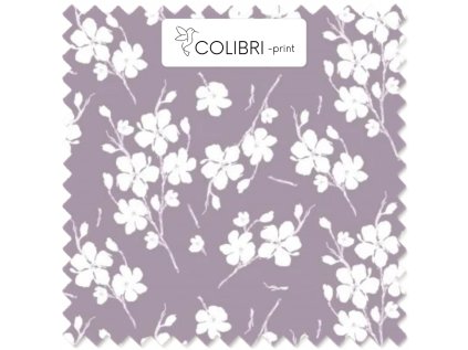 AP649171326047126 2026 01 19T080925.171