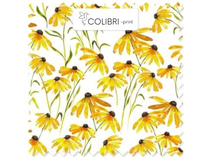 AP649171326047126 2026 01 19T085915.564