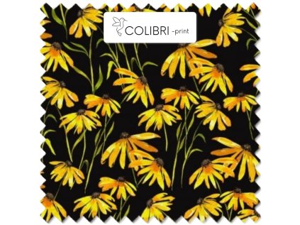 AP649171326047126 2026 01 19T090101.008