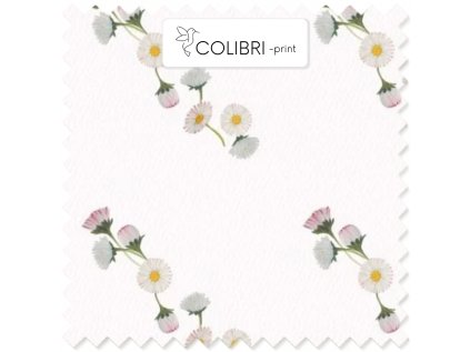 AP649171326047126 2026 01 19T090809.040