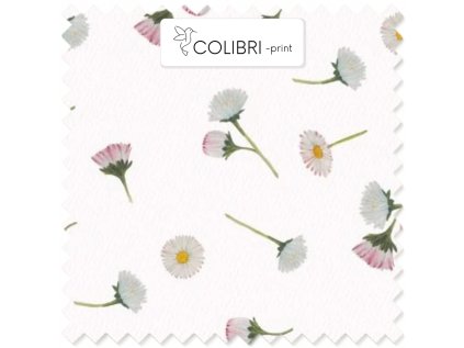 AP649171326047126 2026 01 19T091118.904